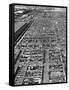 Beef Cattle Being Held in Large Pens at the Union Stockyards-Bernard Hoffman-Framed Stretched Canvas