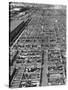 Beef Cattle Being Held in Large Pens at the Union Stockyards-Bernard Hoffman-Stretched Canvas