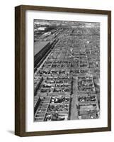 Beef Cattle Being Held in Large Pens at the Union Stockyards-Bernard Hoffman-Framed Photographic Print