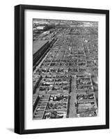 Beef Cattle Being Held in Large Pens at the Union Stockyards-Bernard Hoffman-Framed Photographic Print