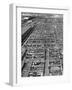 Beef Cattle Being Held in Large Pens at the Union Stockyards-Bernard Hoffman-Framed Photographic Print