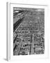 Beef Cattle Being Held in Large Pens at the Union Stockyards-Bernard Hoffman-Framed Photographic Print