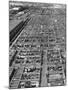 Beef Cattle Being Held in Large Pens at the Union Stockyards-Bernard Hoffman-Mounted Photographic Print