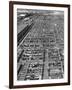 Beef Cattle Being Held in Large Pens at the Union Stockyards-Bernard Hoffman-Framed Photographic Print