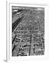 Beef Cattle Being Held in Large Pens at the Union Stockyards-Bernard Hoffman-Framed Photographic Print