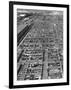 Beef Cattle Being Held in Large Pens at the Union Stockyards-Bernard Hoffman-Framed Photographic Print