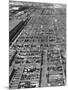 Beef Cattle Being Held in Large Pens at the Union Stockyards-Bernard Hoffman-Mounted Photographic Print