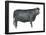 Beef Cattle (Bos Taurus), Mammals-Encyclopaedia Britannica-Framed Poster