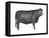 Beef Cattle (Bos Taurus), Mammals-Encyclopaedia Britannica-Framed Stretched Canvas