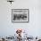 Beef Cattle Standing in a Pasture on the Abbott Ranch-Bernard Hoffman-Framed Photographic Print displayed on a wall