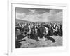 Beef Cattle Standing in a Pasture on the Abbott Ranch-Bernard Hoffman-Framed Photographic Print