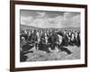 Beef Cattle Standing in a Pasture on the Abbott Ranch-Bernard Hoffman-Framed Photographic Print