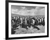 Beef Cattle Standing in a Pasture on the Abbott Ranch-Bernard Hoffman-Framed Photographic Print