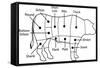 Beef Chart-Zibedik-Framed Stretched Canvas