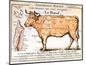 Beef: Diagram Depicting the Different Cuts of Meat-null-Mounted Premium Giclee Print