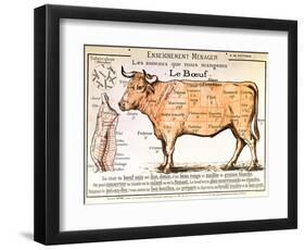 Beef: Diagram Depicting the Different Cuts of Meat-null-Framed Giclee Print