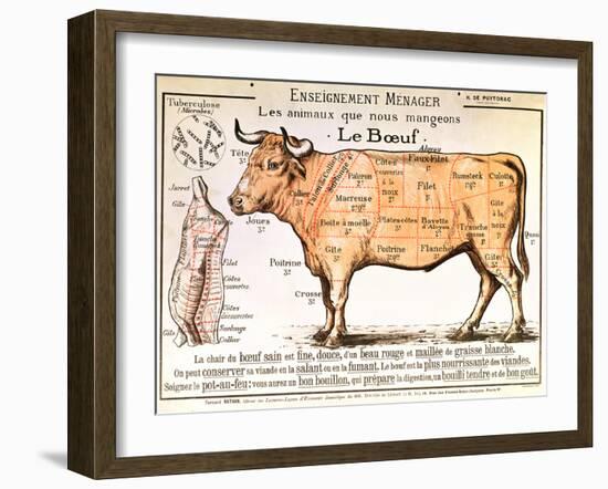 Beef: Diagram Depicting the Different Cuts of Meat-null-Framed Giclee Print