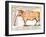 Beef: Diagram Depicting the Different Cuts of Meat-null-Framed Giclee Print