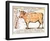 Beef: Diagram Depicting the Different Cuts of Meat-null-Framed Giclee Print