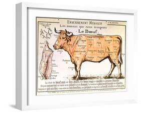 Beef: Diagram Depicting the Different Cuts of Meat-null-Framed Giclee Print