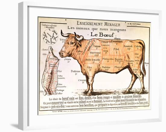 Beef: Diagram Depicting the Different Cuts of Meat-null-Framed Giclee Print