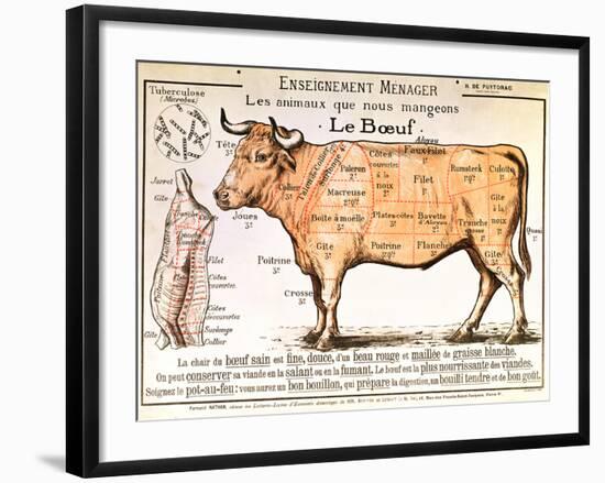 Beef: Diagram Depicting the Different Cuts of Meat-null-Framed Giclee Print