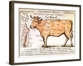 Beef: Diagram Depicting the Different Cuts of Meat-null-Framed Giclee Print