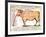 Beef: Diagram Depicting the Different Cuts of Meat-null-Framed Giclee Print