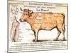 Beef: Diagram Depicting the Different Cuts of Meat-null-Mounted Giclee Print