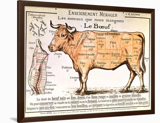 Beef: Diagram Depicting the Different Cuts of Meat-null-Framed Giclee Print