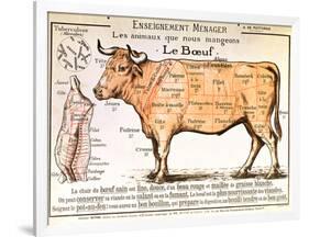 Beef: Diagram Depicting the Different Cuts of Meat-null-Framed Art Print