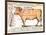 Beef: Diagram Depicting the Different Cuts of Meat-null-Framed Art Print