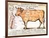 Beef: Diagram Depicting the Different Cuts of Meat-null-Framed Art Print