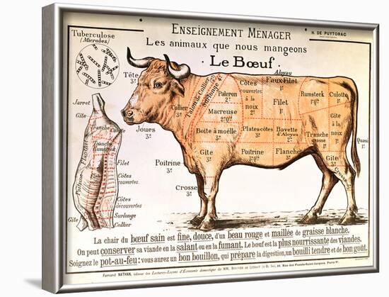 Beef: Diagram Depicting the Different Cuts of Meat-null-Framed Art Print