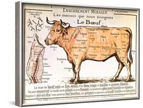 Beef: Diagram Depicting the Different Cuts of Meat-null-Framed Art Print