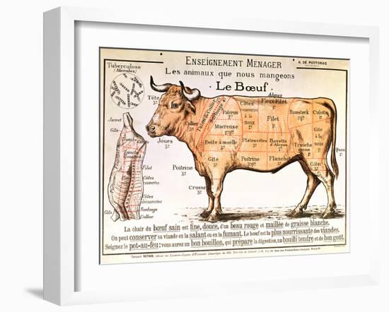 Beef: Diagram Depicting the Different Cuts of Meat-null-Framed Art Print