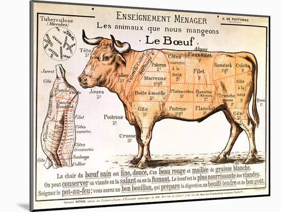 Beef: Diagram Depicting the Different Cuts of Meat-null-Mounted Art Print
