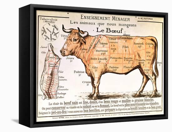 Beef: Diagram Depicting the Different Cuts of Meat-null-Framed Stretched Canvas