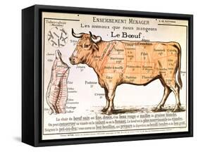 Beef: Diagram Depicting the Different Cuts of Meat-null-Framed Stretched Canvas