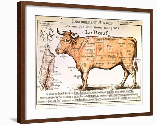 Beef: Diagram Depicting the Different Cuts of Meat-null-Framed Art Print