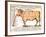 Beef: Diagram Depicting the Different Cuts of Meat-null-Framed Art Print