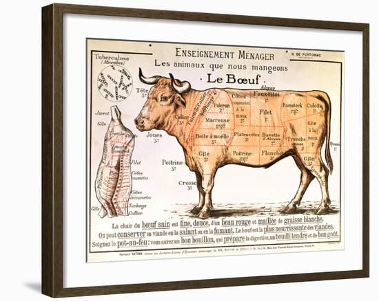 Beef: Diagram Depicting the Different Cuts of Meat-null-Framed Art Print