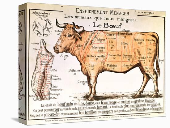 Beef: Diagram Depicting the Different Cuts of Meat-null-Stretched Canvas