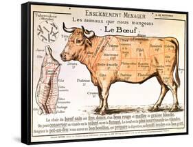 Beef: Diagram Depicting the Different Cuts of Meat-null-Framed Stretched Canvas