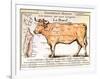 Beef: Diagram Depicting the Different Cuts of Meat-null-Framed Art Print