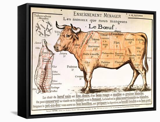 Beef: Diagram Depicting the Different Cuts of Meat-null-Framed Stretched Canvas