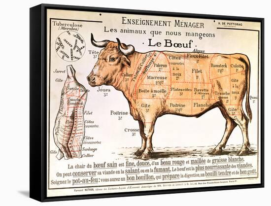 Beef: Diagram Depicting the Different Cuts of Meat-null-Framed Stretched Canvas