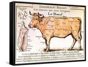 Beef: Diagram Depicting the Different Cuts of Meat-null-Framed Stretched Canvas