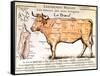 Beef: Diagram Depicting the Different Cuts of Meat-null-Framed Stretched Canvas