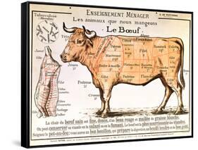 Beef: Diagram Depicting the Different Cuts of Meat-null-Framed Stretched Canvas